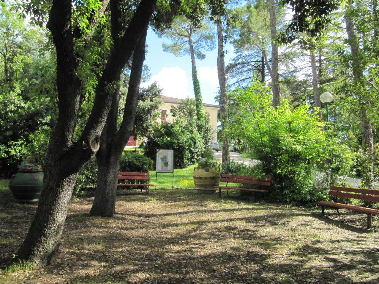 TG prima stanza IMG_5529